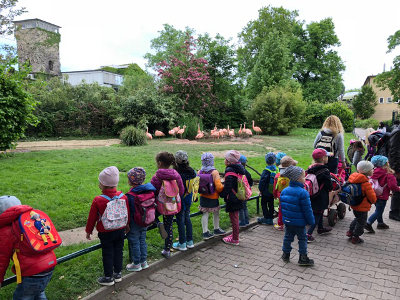 Zoo-Besuch der Nezabudka 5-Kinder